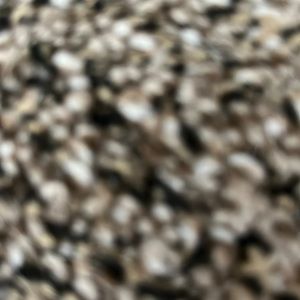 Tea Collection boys size 14 shirts